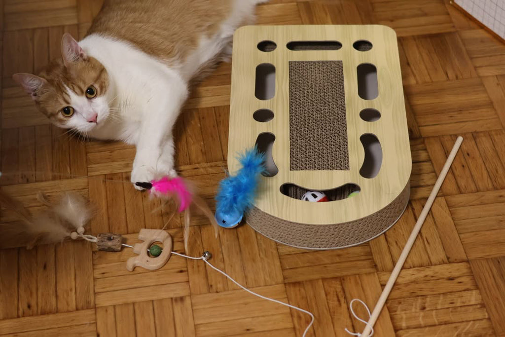 Svrća Set bundle – Kompletna kolekcija igračaka za mačke 🐾