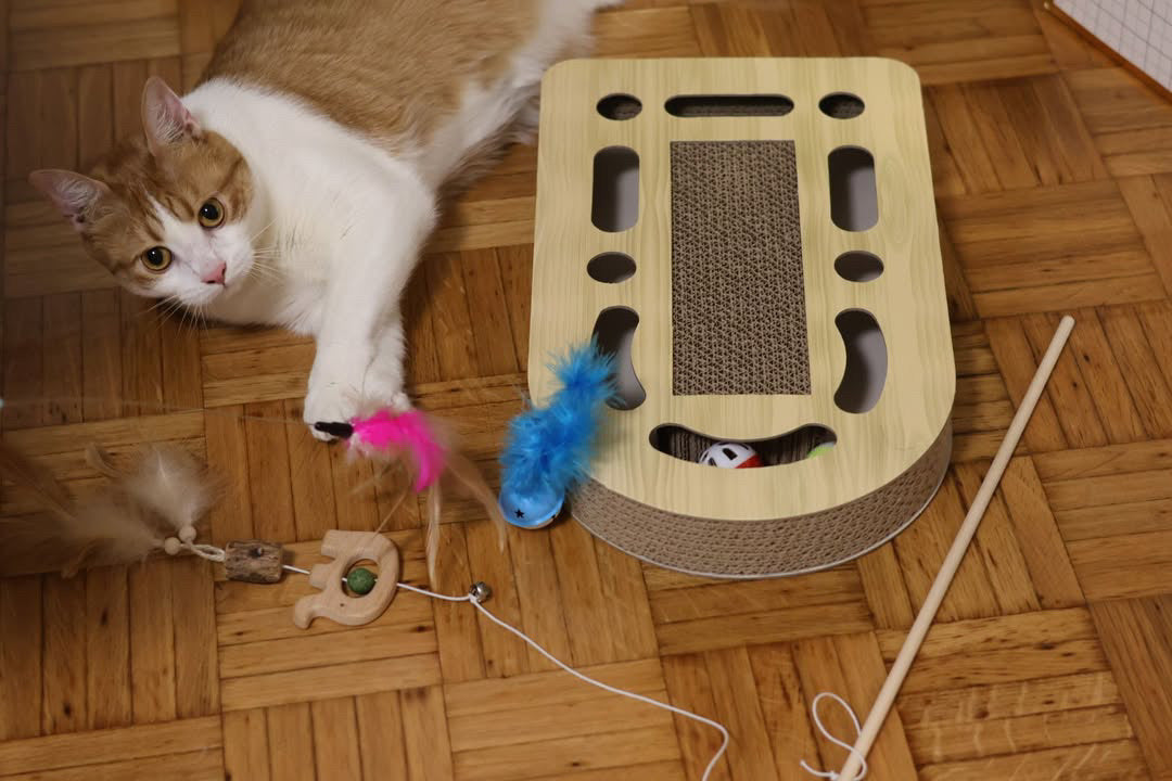 Svrća Set bundle – Kompletna kolekcija igračaka za mačke 🐾