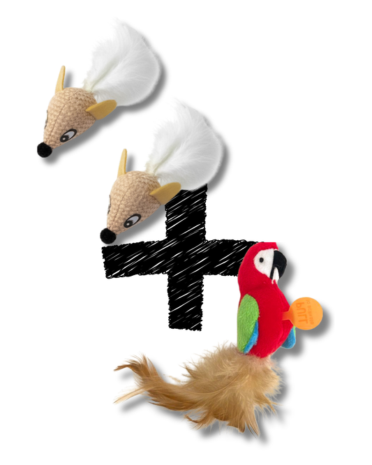 🌴 Tropical Play Duo – Papagaj & Miševi set za mačke 🐭🦜