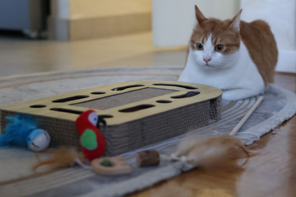 Svrća Set bundle – Kompletna kolekcija igračaka za mačke 🐾