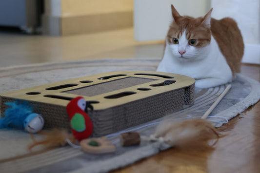 Svrća Set bundle – Kompletna kolekcija igračaka za mačke 🐾