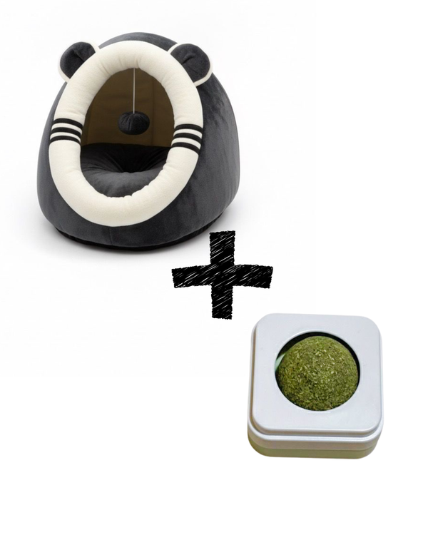 Zimski Bundle za mačke “Bear & Bliss” 🐻🌿