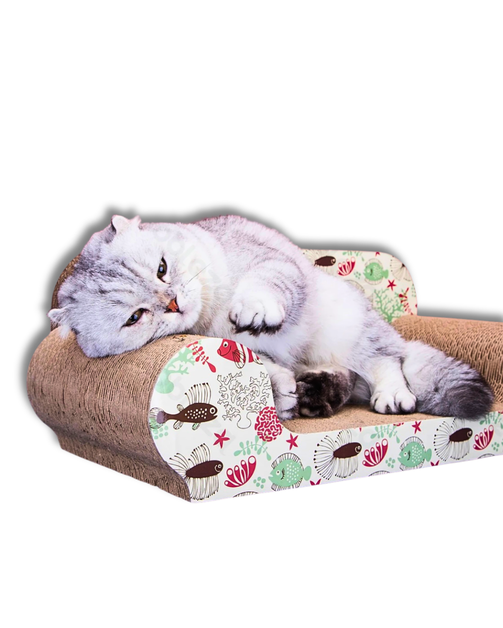 Cat Sofa Lounge – Grebalica & Ležalica sa Catnipom
