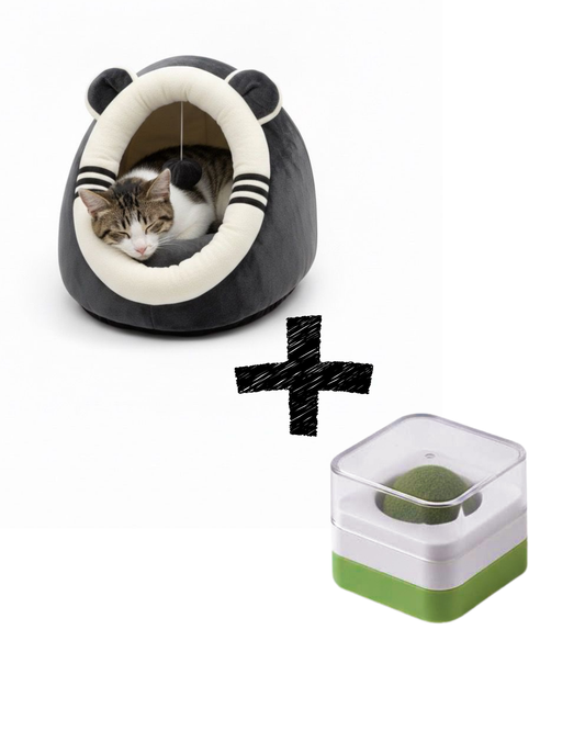 Zimski Bundle za mačke “Bear & Bliss” 🐻🌿