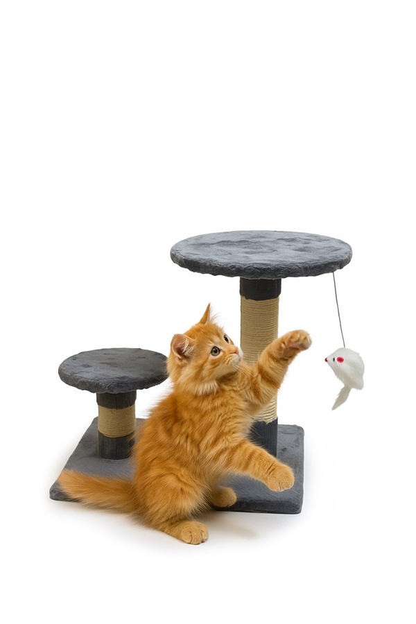 Grebalica sa visećom igračkom za mačke – “Play & Scratch Duo”